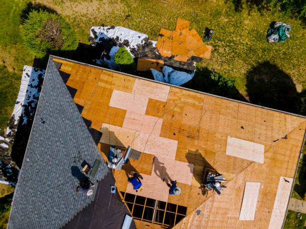 Best Roof Restoration Services  in Cape Charles, VA